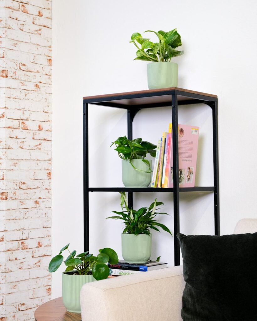Minimal indoor plant shelf with books and potted greenery in an apartment