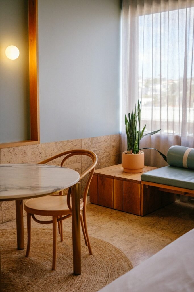 Snake plant in a modern indoor room