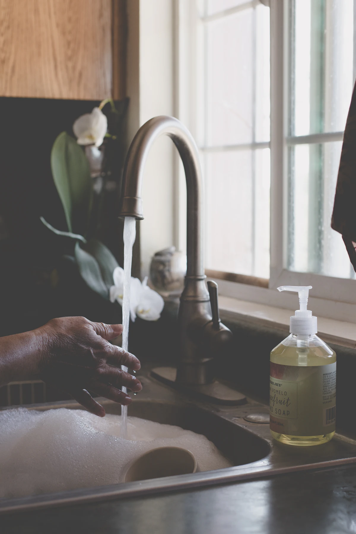 Dish soap is a detergent, not insecticidal soap Bottle of liquid dish soap by a kitchen sink, a detergent rather than an insecticidal soap for plants