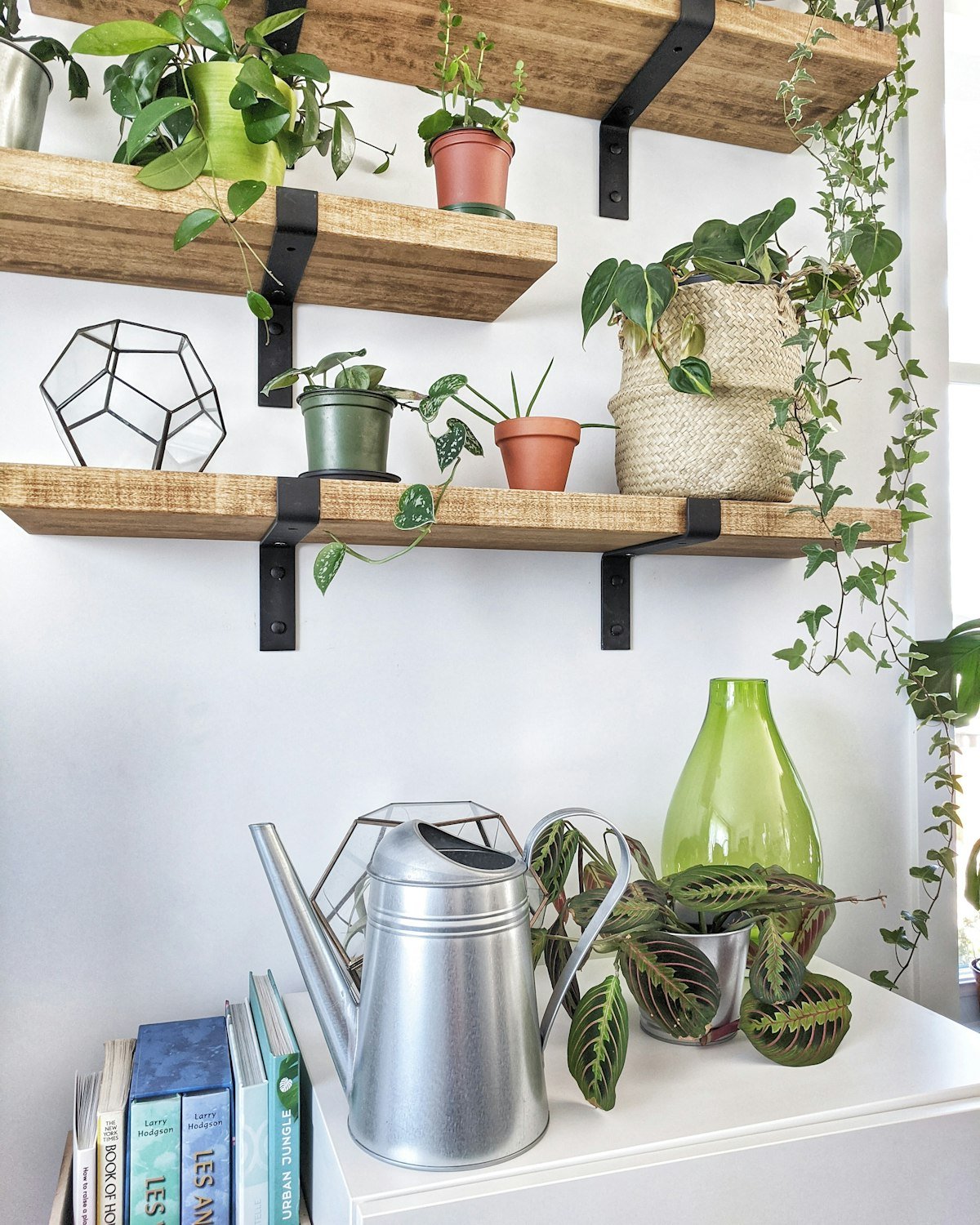 Floating plant shelf with trailing plants, small pots and a watering can kept within reach