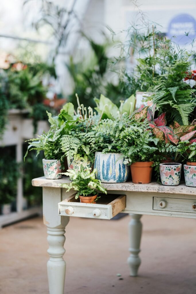 Indoor plant shop table filled with potted ferns, calatheas and foliage plants