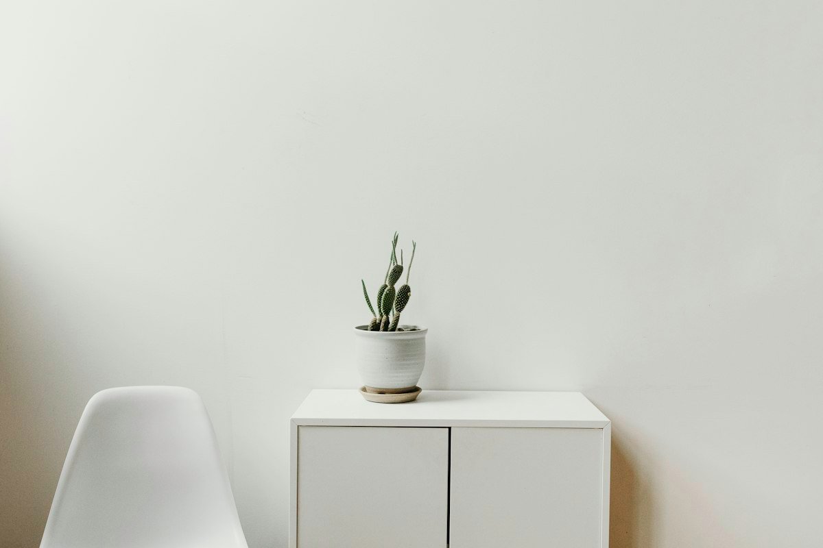 Small plant on a white cabinet in a minimal room where houseplant light may be too low