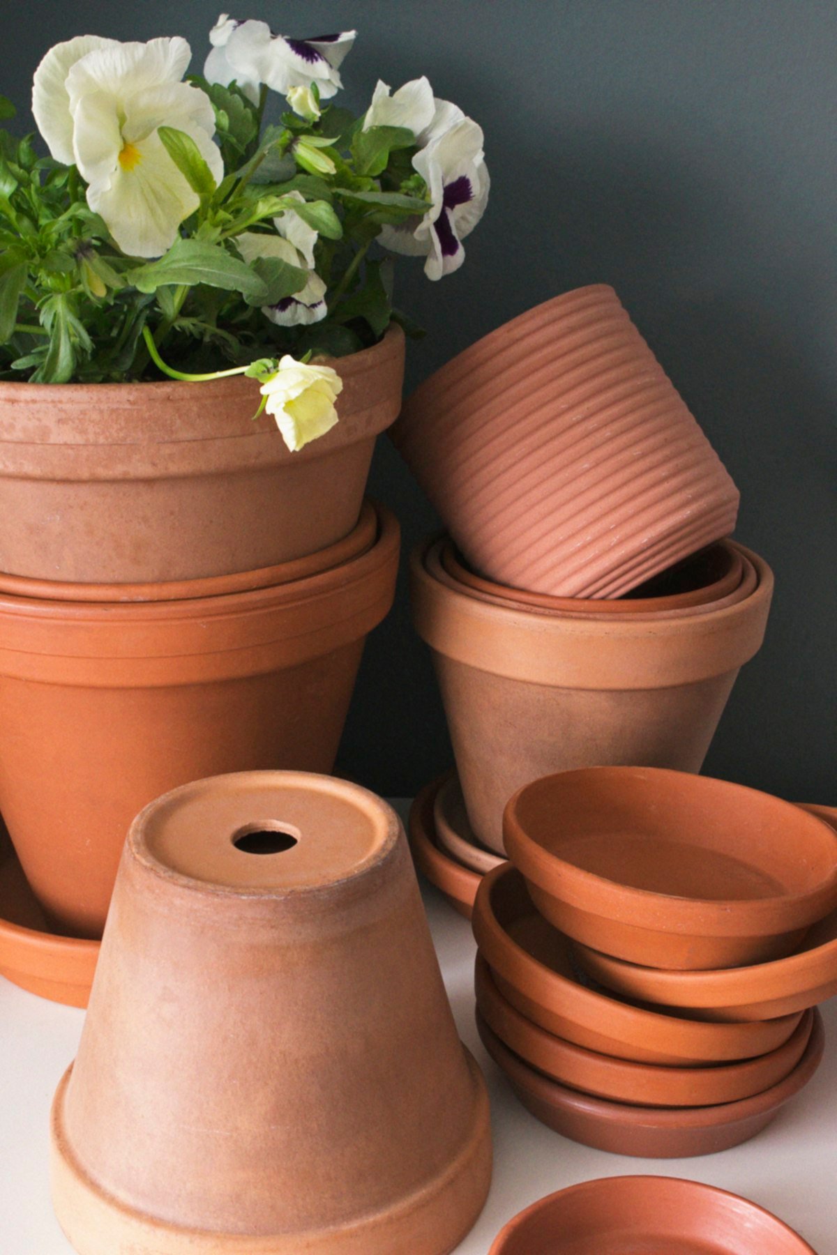 Terracotta pots and saucers, one upturned to show the drainage hole that helps prevent root rot