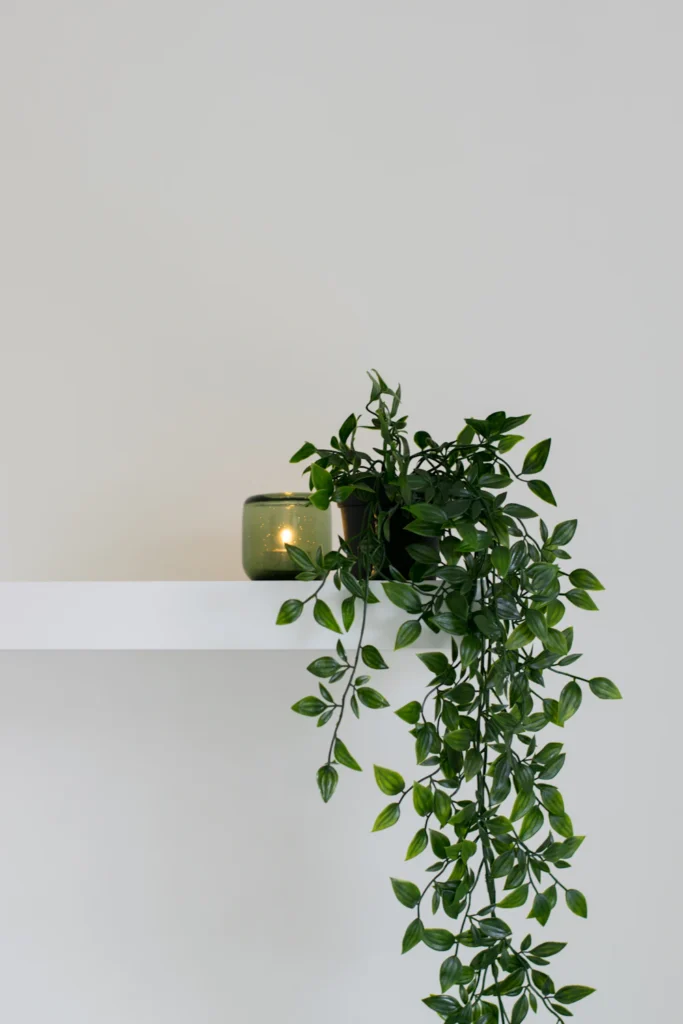 Trailing plant on a minimal floating shelf, an uncluttered way to style an indoor plant shelf